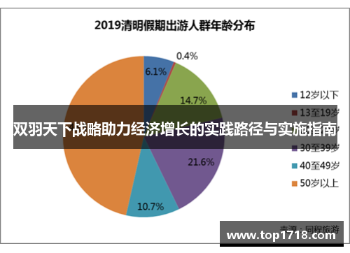 双羽天下战略助力经济增长的实践路径与实施指南