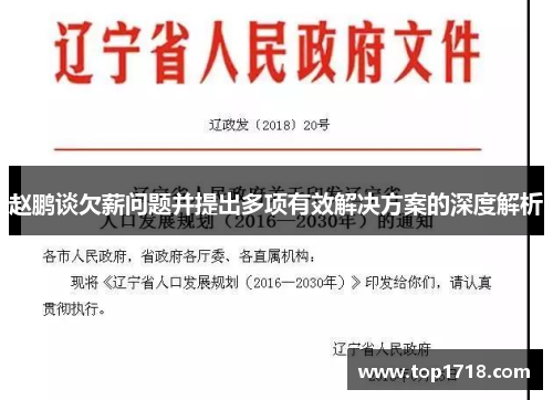 赵鹏谈欠薪问题并提出多项有效解决方案的深度解析
